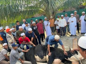 Pesantren Thariqat Naqsyabandiyah Salurkan 151 Hewan Qurban    