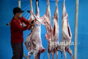 Rela tak Jajan, Bocah SD di Malang Bisa Berkurban Kambing Hasil Menabung