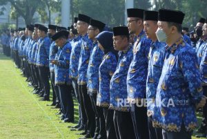 Seleksi CASN 2023 Buka Formasi untuk Fresh Graduate Talenta Digital