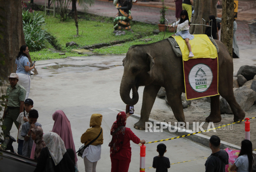 Masa Liburan Sekolah, Pengunjung Taman Safari Indonesia Meningkat 40 Persen