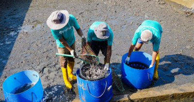 Raih Pendanaan Seri D, eFishery Akselerasi Ekspansi Akuakultur di Indonesia