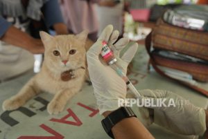 Vaksinasi Rabies di Kantor Kelurahan Manggarai Selatan