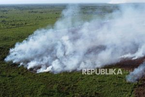 Kebakaran Hutan dan Lahan di Aceh Barat