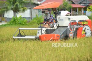 Ancaman El Nino tidak Berdampak pada Produksi Padi Kota Padang