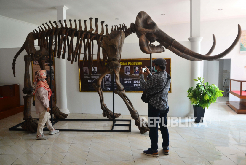 Bersolek dan Tambah Koleksi, Museum Patiayam Diharapkan Bisa Lebih Memikat Wisatawan