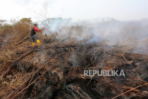 El Nino Potensi Karhutla, BNPB Siapkan Opsi Modifikasi Cuaca