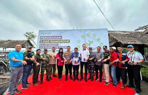 Peringati Hari Manggrove Sedunia, Apical Tanam 2.000 Pohon Bakau di Dumai