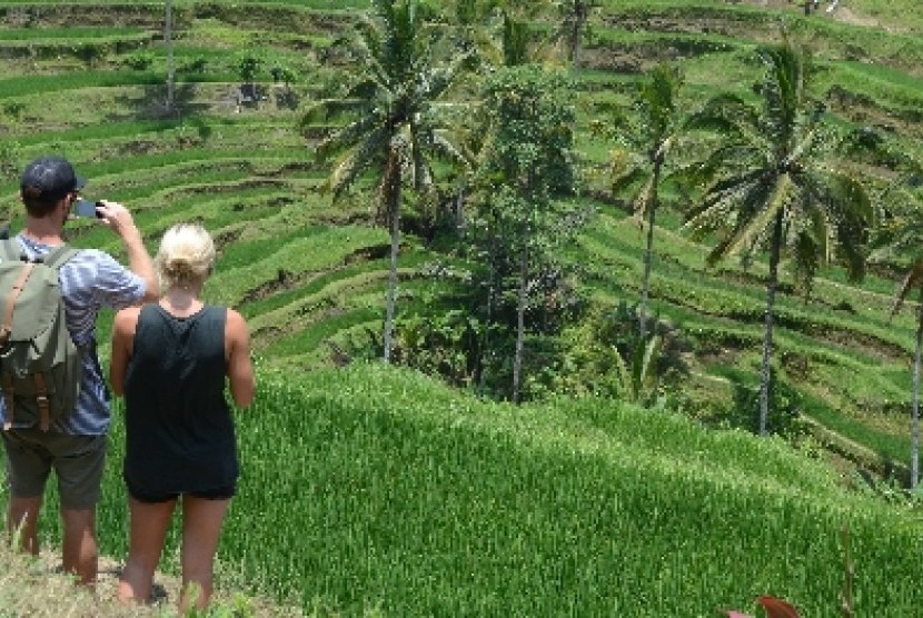 Kadin Indonesia Lihat Sawah Organik di Sidan Gianyar