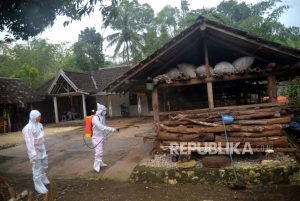 Kasus Antraks Gunungkidul, Bantul Perketat Perbatasan