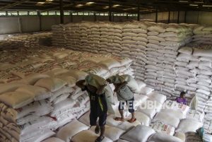 Kenaikan Harga Urea di Pasar Global Picu Peningkatan Laba Pupuk Kujang