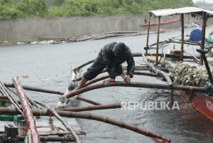 Listrik Masuk Pelabuhan Nelayan di Belitung Pangkas Biaya Operasional Hingga 60 Persen