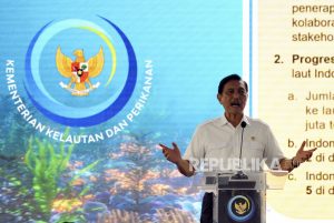 Luhut Usulkan Kerja Sama Trilateral Hutan Tropis ke Kongo