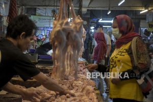 Pakan Ternak Mahal, Mendag Tegaskan tak Buka Keran Impor Jagung