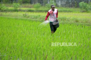 Penjualan Pupuk Subsidi di Indramayu Sudah Lebih dari 50 Persen