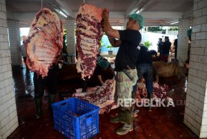 Prabowo Kurban Sapi 1,2 Ton di Sumbar