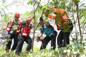 SIG Tingkatkan Penggunaan Biomassa sebagai Bahan Bakar Ramah Lingkungan