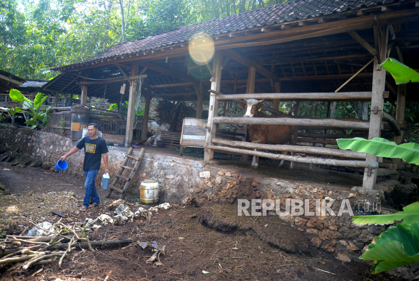 Saran bagi Warga yang Temukan Daging Hewan Ternak yang Sakit Lalu Mati