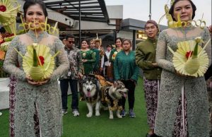 Selain Adat Jawa, Pernikahan Anjing di PIK Juga Diberkati Pastor Lorenzo