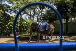 Tak Terima Diambil Alih, Yayasan Kebun Binatang Gugat Pemkot Bandung ke Pengadilan