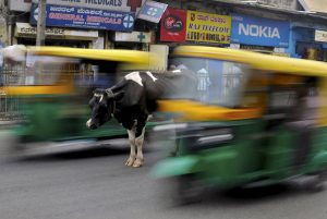 Terulang Lagi, Pria Muslim Dikeroyok dan Digantung Gara-Gara Daging Sapi di India