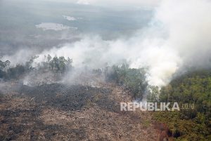 BMKG: Waspadai Potensi Hujan Lebat Hingga Kebakaran Hutan