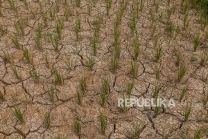 BPBD Yogyakarta Upayakan Pembuatan Sumur Bor Atasi Kekeringan