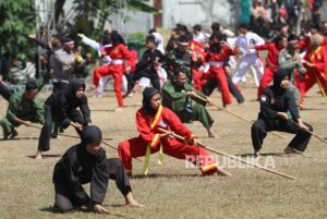 Cegah Tawuran Antarperguruan Silat, TNI Gelar Latihan Bersama