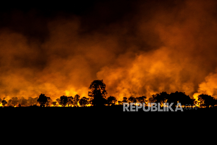 Karhutla di Riau Sepanjang 2023 Mencapai 1.184,36 Hektare