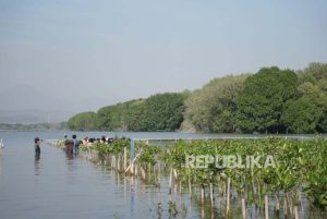 Kiat Pertamina Patra Niaga JBT Tekan Emisi Karbon