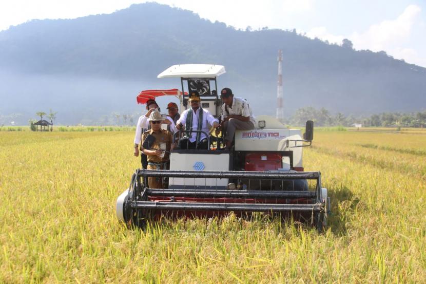 Pemerintah Tetapkan Enam Provinsi Pemasok Beras Antisipasi El Nino  