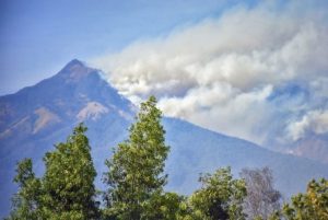 Polisi: Kebakaran Lahan Gunung Rinjani Akibat Cuaca Ekstrem