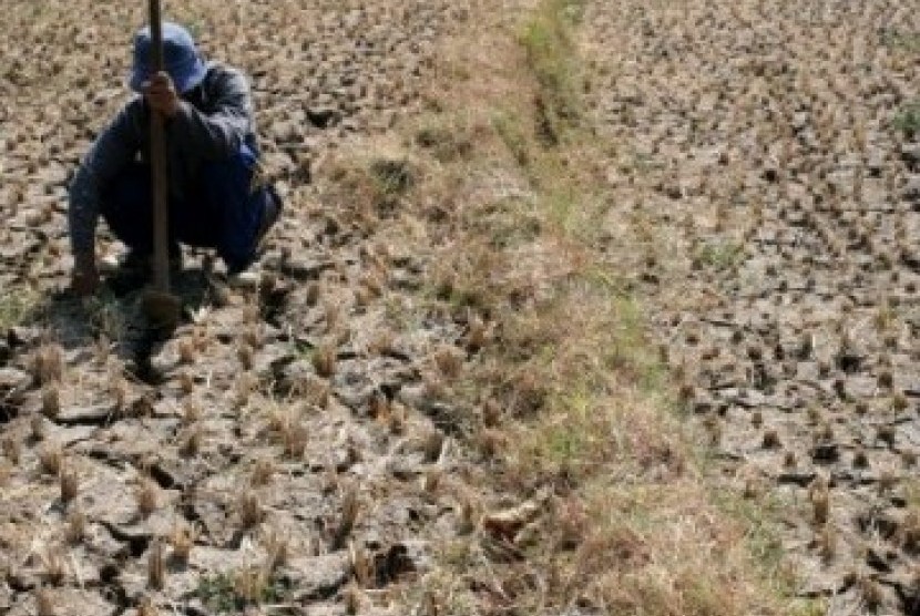 Puncak Kemarau, BPBD Madiun Waspadai Potensi Kekeringan di Tiga Kecamatan