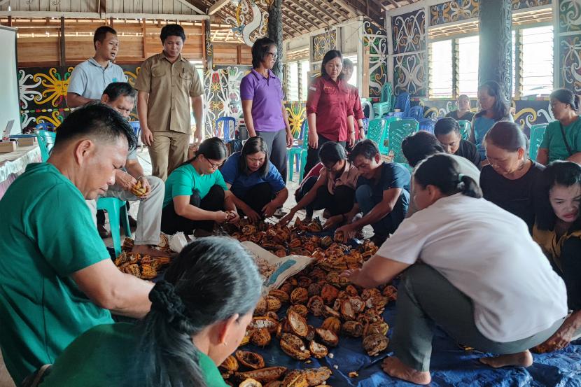 Rumah Kakao, Jurus Dongkrak Bisnis Cokelat dan Sejahterakan Petani