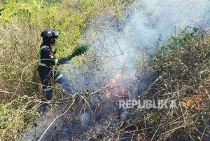 Sehari, Kebakaran Lahan Terjadi di Dua Lokasi Berbeda Wilayah Kuningan