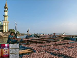 Terasi Khas Paciran, Buah Tangan Pantura Lamongan