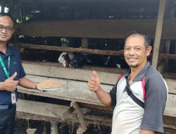 Apical Tegaskan Komitmen Pendampingan untuk Kembangkan Budidaya Ternak di Dumai
